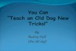 You  Can  Teach And  Old  Dog  New  Tricks 2 Final Project