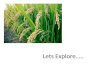 Lets Explore