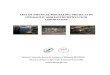 Physical Modelling Projects in Mhi