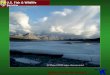 Jennifer Reed - Arctic National Wildlife Refuge