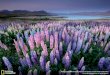 Mike Hollman Photography - Landscape photography