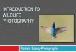 INTRODUCTION TO WILDLIFE PHOTOGRAPHY - · PDF fileAgenda Objective Master basics on Wildlife Photography Improve ability to capture impressive images of animals Presentation on Wildlife