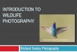 INTRODUCTION TO WILDLIFE PHOTOGRAPHY · PDF file 2014-08-05 · Why Wildlife Photography? One of the more challenging areas of photography Birds the most challenging of wildlife. Wildlife
