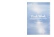 Expanding the world of photography with full-time flash
