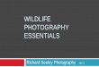 Wildlife Photography Essentials Presentation - Richard Seeley